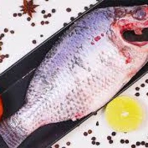 Tilapia / Jalebi fish [ Only Washed/ Whole cleaned ] [ তেলাপিয়া মাছ ]