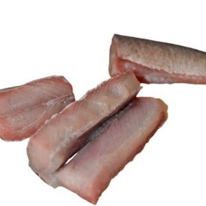 Chitol gada