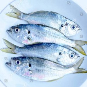 Parava count 10-15 pcs per kg