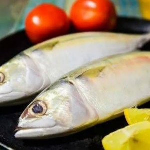 Mackerel/Aila count 10-15 pcs per kg