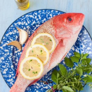 red snapper