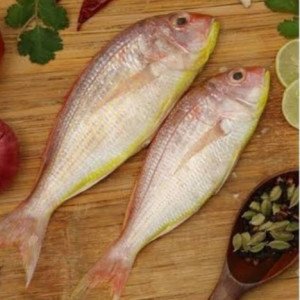 Pink perch/Rani count 4-8 pcs par kg