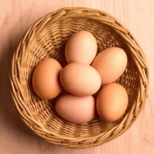 Brown egg